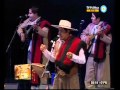 Art - Arte - Grinfeld - Festival Cosquin Video - Eduardo Avila - Dalmiro Cuellar - Jesus Mansilla