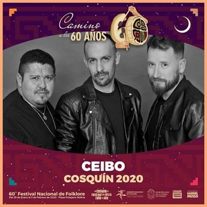 GRINFELD - Festival de Cosquin 2020 - Grilla